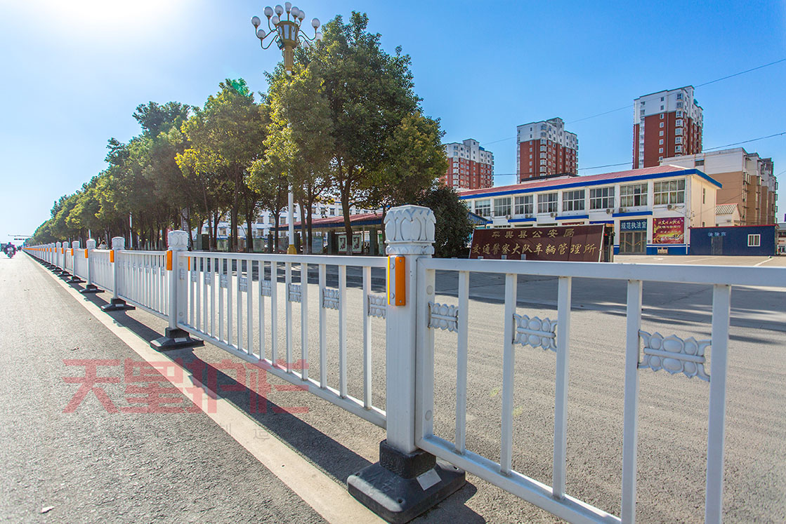 連云港天星金色蓮花道路護欄