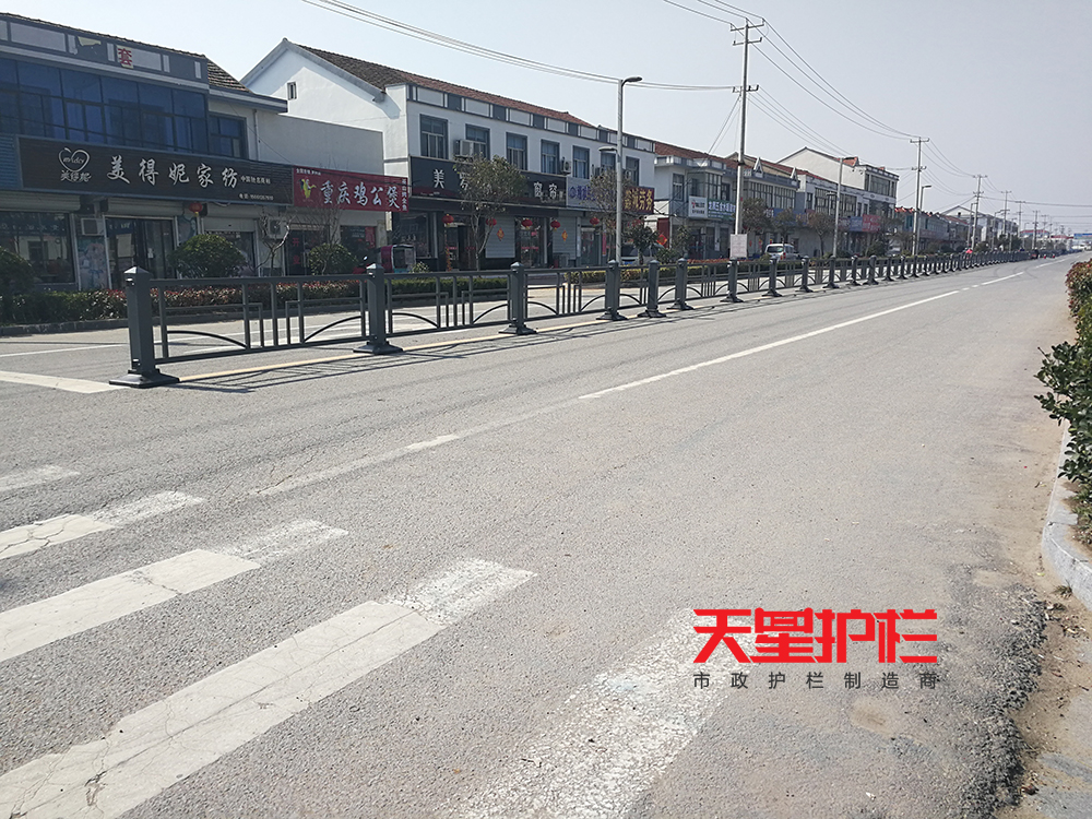 天星護欄道路工程案例